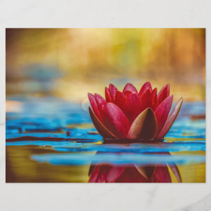 Papel de scrapbook de Lotus Vermelho Flutuante