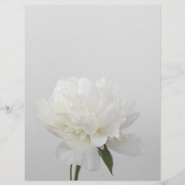 Papel de scrapbook de peônia minimalista branco ma (Frente)