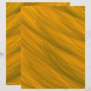 Papel de Scrapbook de Trigo ET Página 2 Lados