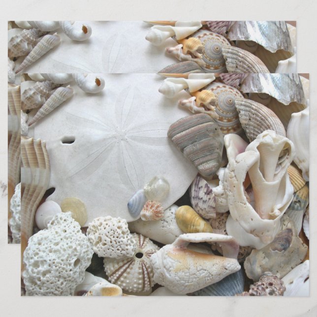 Papel de Scrapbook em Branco de Dólar de Areia Con (Frente/Verso)