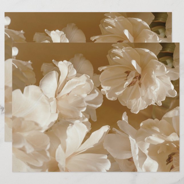 Papel de Scrapbook Floral Bege Sonhador (Frente/Verso)