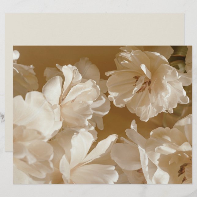 Papel de Scrapbook Floral Bege Sonhador (Frente/Verso)