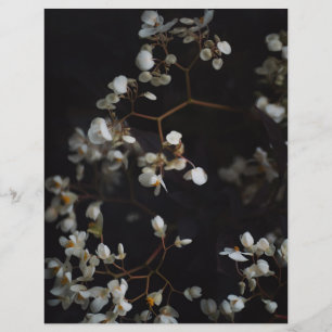 Papel de Scrapbook Floral Escuro Elegante e Temper
