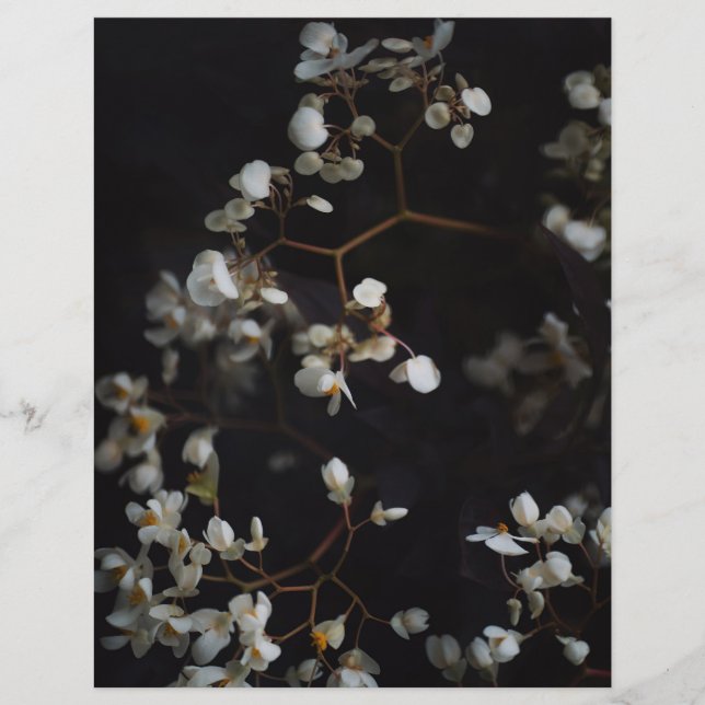 Papel de Scrapbook Floral Escuro Elegante e Temper (Frente)