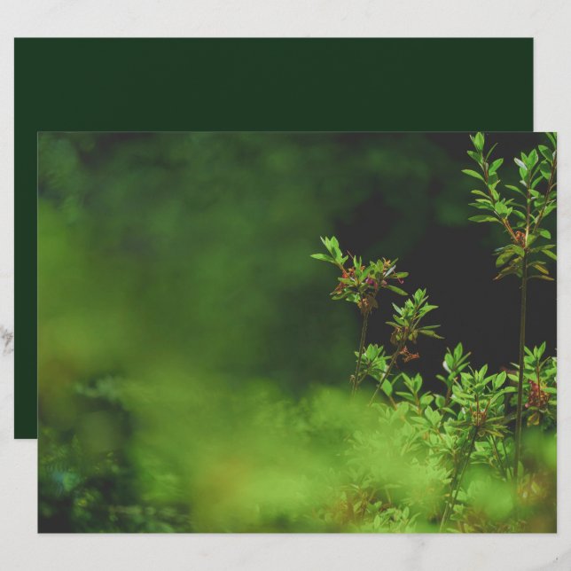 Papel de Scrapbook Floresta Verde Escuro (Frente/Verso)