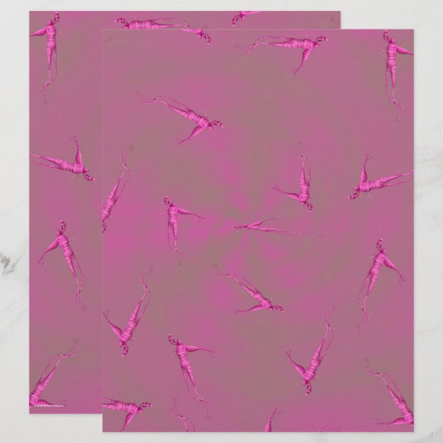 Papel de Scrapbook Pink Ginseng Man 2 Lados (Frente/Verso)