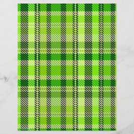 Papel de Scrapbook Xadrez Verde Página 2 Lados