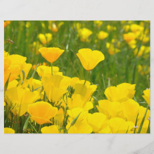 Papel de Scrapbooking Califórnia Flores de Papoula