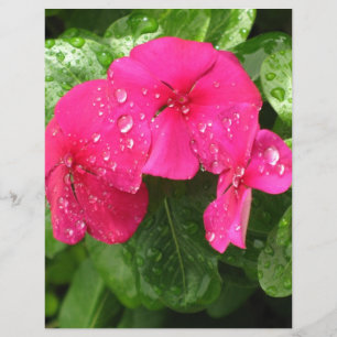 Papel de Scrapbooking de Lindas Flores Cor-de-Rosa