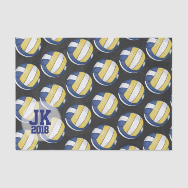 Papel De Seda 03de12 Papel-Padrão de Voleibol (Frente )