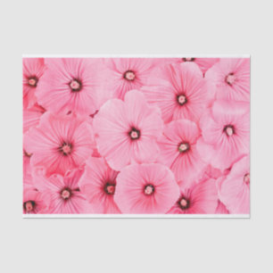 Papel De Seda 10lb lenço de papel, SEMENTE FELIZ que ENVOLVE A