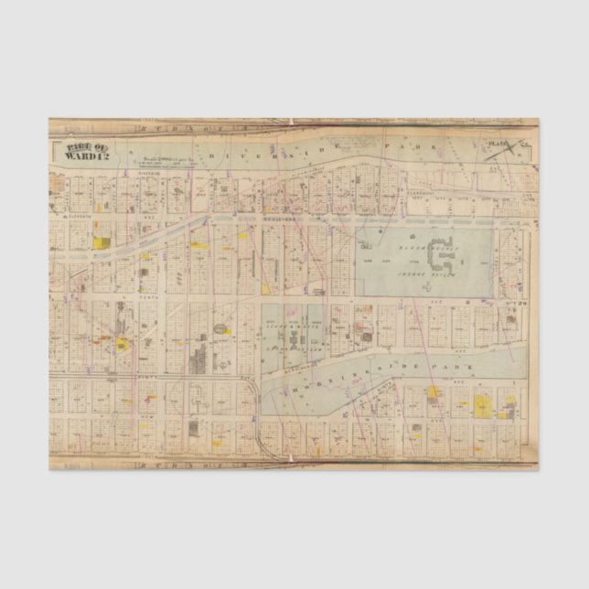 Papel De Seda 26 divisão 12 (Frente )