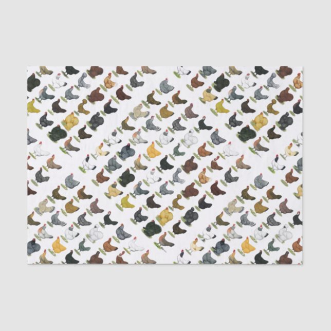 Papel De Seda 49 galinhas da galinha (Frente )