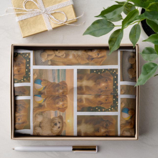 Papel De Seda 4 Personalized Photo Collage (Presente)