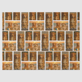 Papel De Seda 4 Personalized Photo Collage