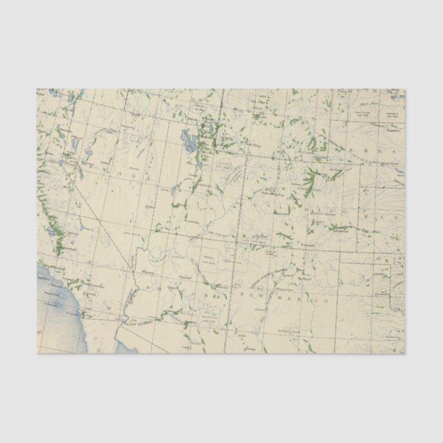 Papel De Seda 54 áreas irrigaram 1889 (Frente )