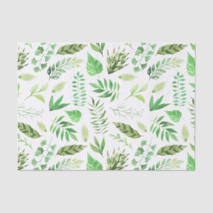 Papel De Seda A aguarela sae das hortaliças  