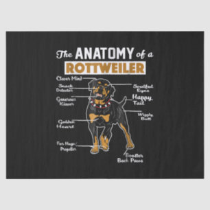 Papel De Seda A Anatomia De Um Rottweiler Pão-Cão Legal