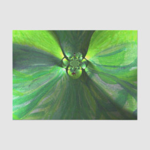 Papel De Seda A arte abstracta Foxes as folhas verdes