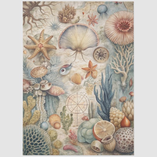 Papel De Seda A Coastal Series Design 46 (Frente )