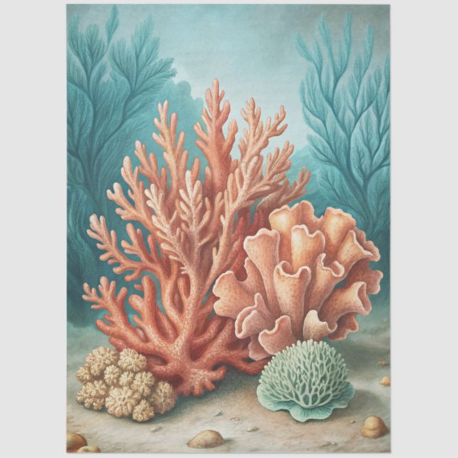 Papel De Seda A Coastal Series Design 55 (Frente )