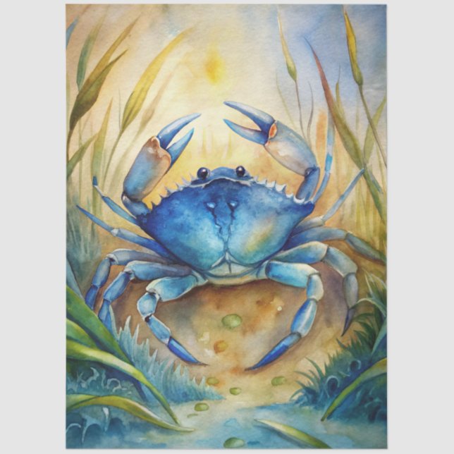 Papel De Seda A Coastal Series Design 80 (Frente )