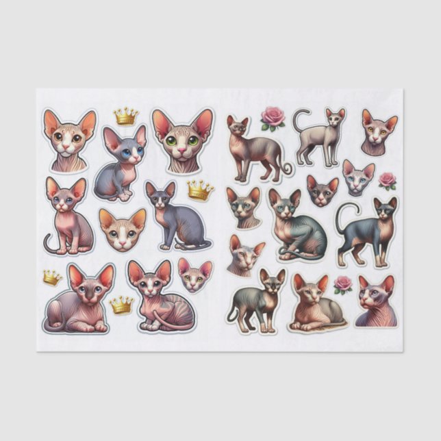 Papel De Seda A Fantastic Mix of Hairless Cats Illustrations (Frente )