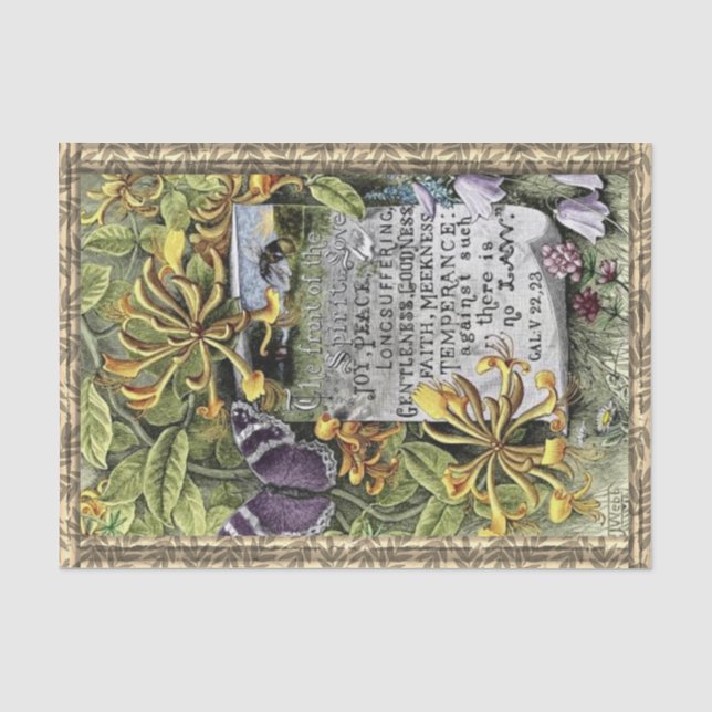Papel De Seda A Fruta Do Espírito (Frente )