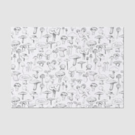 Papel De Seda A Gangue do Cogumelo