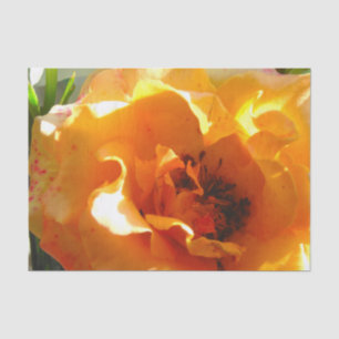 Papel De Seda A laranja bonito aumentou