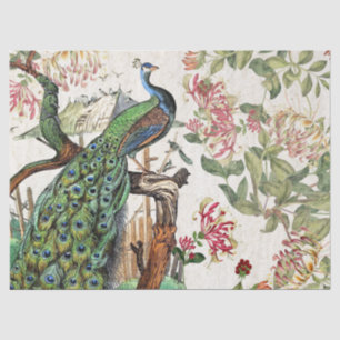 Papel De Seda A madressilva dos pássaros do pavão floresce o