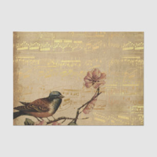 Papel De Seda A música dourada cor-de-rosa do vintage do pássa