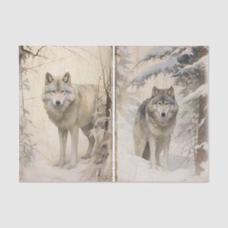 Papel De Seda A Separate Pair of Wolves in the Winter Forest