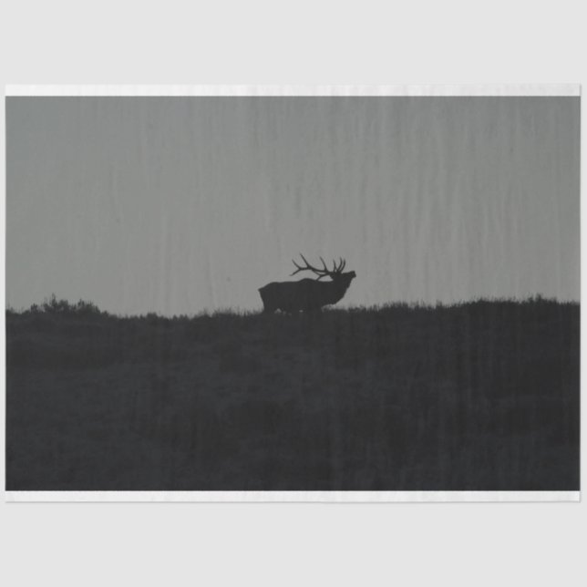 Papel De Seda A Última Mata (Frente )