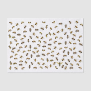 Papel De Seda Abelhas de Trabalhadores e Quebra Apiária Rainha e