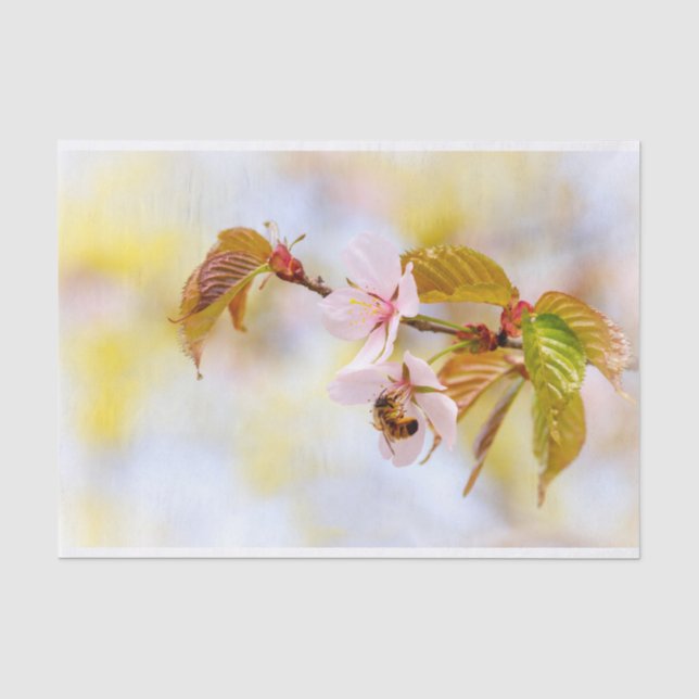 Papel De Seda Abelhas Em Uma Flor De Cereja (Frente )