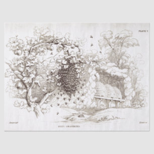 Papel De Seda Abóbora De Abelhas