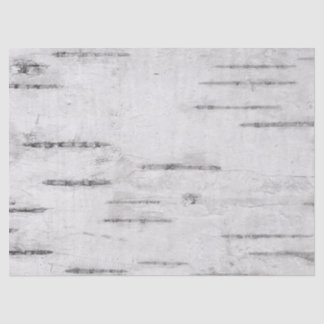 Papel De Seda Abstrato White Birch Tree Latido Decoupage