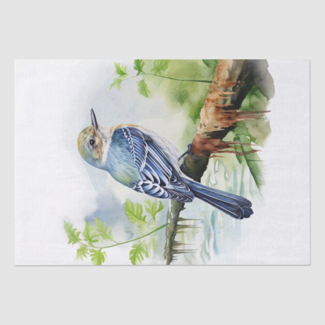 Papel De Seda Acade Flycatcher Bird (Frente )