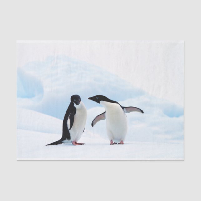 Papel De Seda Adelie Penguins (Frente )