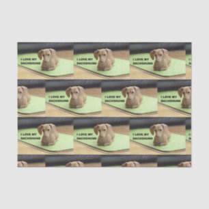 Papel De Seda Adoro o meu Cream Dachshund com uma fotografia
