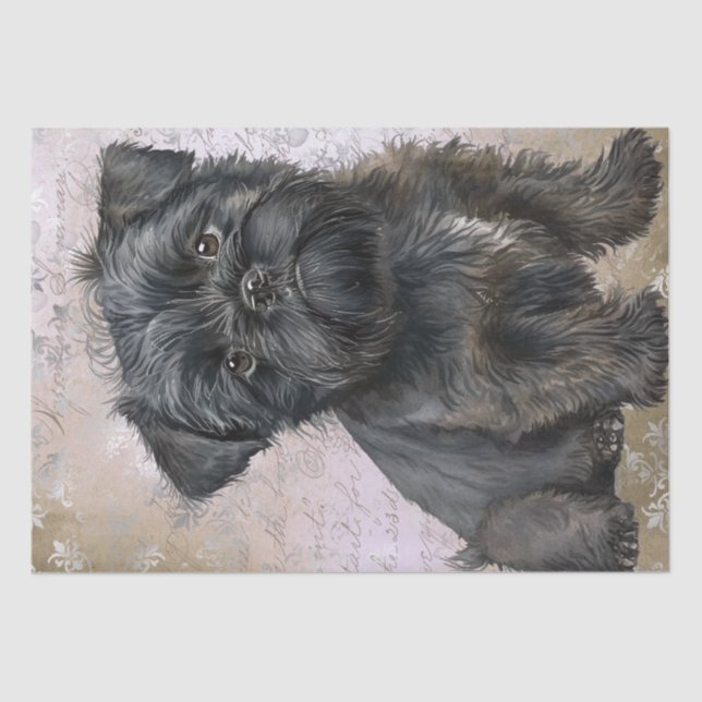Papel De Seda Affenpinscher Puppy Cão (Frente )