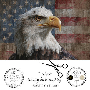 Papel De Seda Águia Careca em Decoupage com Bandeira Americana D