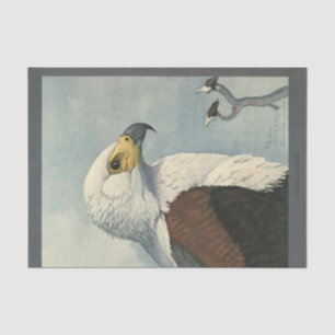 Papel De Seda Águia Marinha De Descopagação Ephemera De Aves