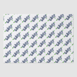 Papel De Seda Airelas frutas Airelas primeiro aniversario aquare