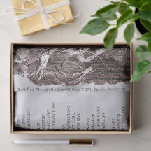 Alice no País das Maravilhas Jabberwocky Song Simp