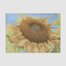 Amarelo de Girassol Azul Boho Rústico Floral País