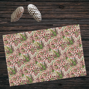 Papel De Seda Amaryllis Abundance, Feriado Festivo Branco e Verm