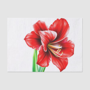 Papel De Seda Amaryllis Vermelha Vibrante em Aquarela