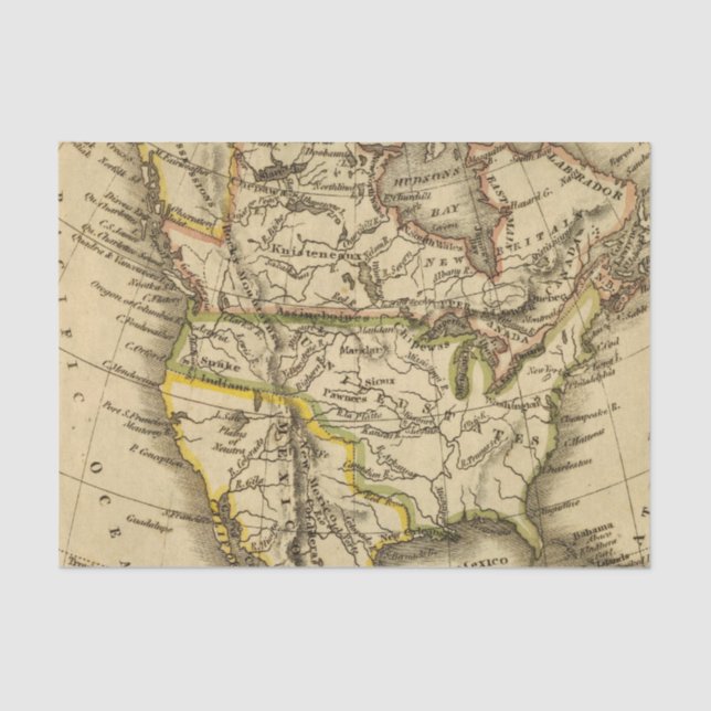 Papel De Seda America do Norte 40 (Frente )